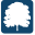 silvertree.com