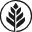 silvertree.holdings