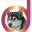 silverwolfenterprises.co.za