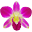 singaporeflorist.com.sg