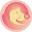 sjrcms.weebly.com