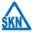 sknengines.com