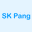 skpang.co.uk
