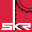 skr.biz