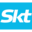 skt.ru