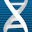 skycorp.global
