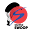 skydiveswoop.com