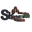 skynetteam360.com