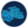 skyroom.online