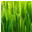 sleepyhollowlandscaping.com