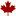smallbiz.ca