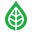 smoothroots.co