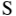 sneakerium.com