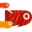 snp.org.pe