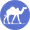 softcamel.com