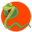 softcobra.com