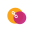 softcodelink.com