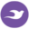 solace.media