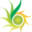 solarshop.pk