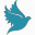 solidfoundationwebdev.com
