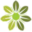 solutiontree.in