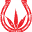 sonomaseeds.com