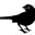 sparrow.rs