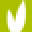 specseed.co.nz