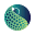 spectrumhealthcare.org
