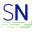speednetworking.com