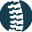 spinaldx.com