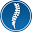 spineandscoliosis.com