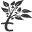 spingtree.com