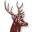 sport-jagd.com