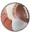 sportschump.net