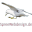 spreewebdesign.de