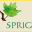 sprig.me