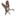 sprigelectric.com
