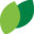 springacademy.com