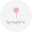springand-co.com