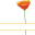 springhillschool.org