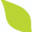 springhousemn.org