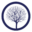 springtree.net
