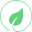 sprout.ae