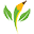 sproutsupplies.com