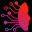 sqlzealots.com