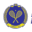 squash.se
