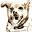 srdogs.com