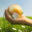 srsbiodiesel.com