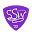 ssw-web.com